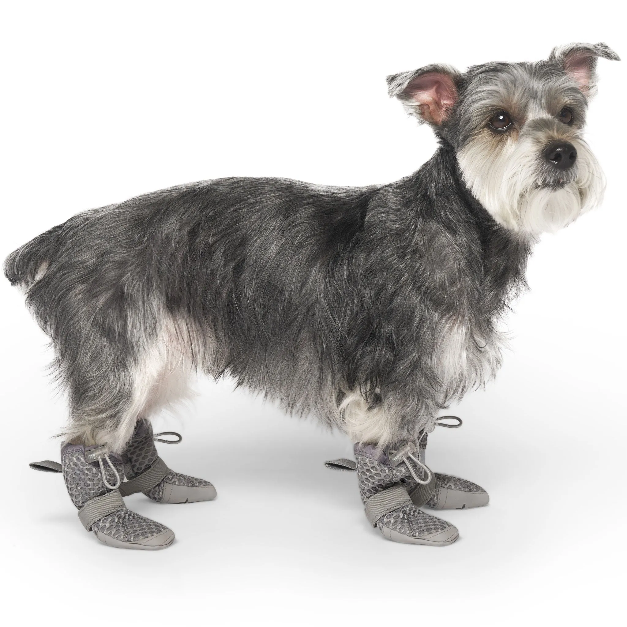 Canada Pooch Hot Pavement Boots - Grey